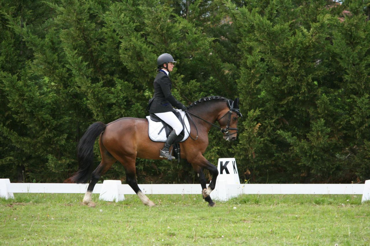 Tucson du Rif (26 Drome)