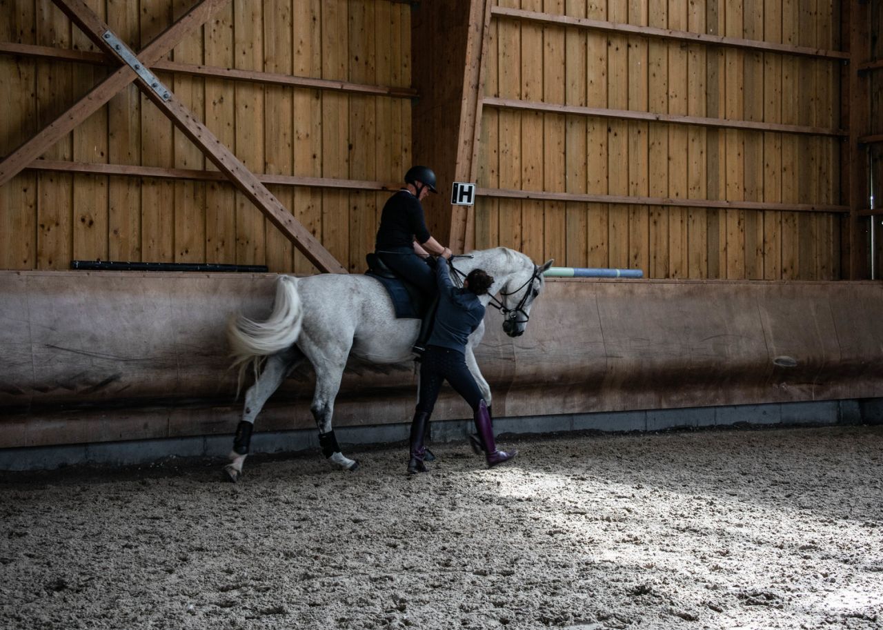 Cours particuliers dressage/ Valorisation 