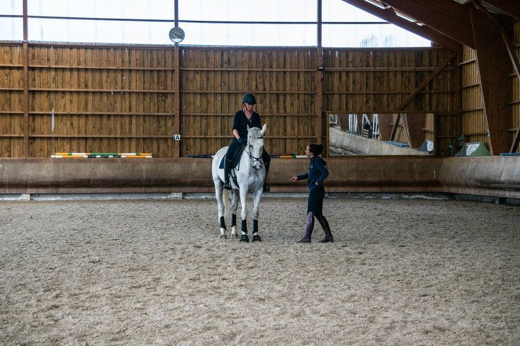 Cours particuliers dressage/ Valorisation 