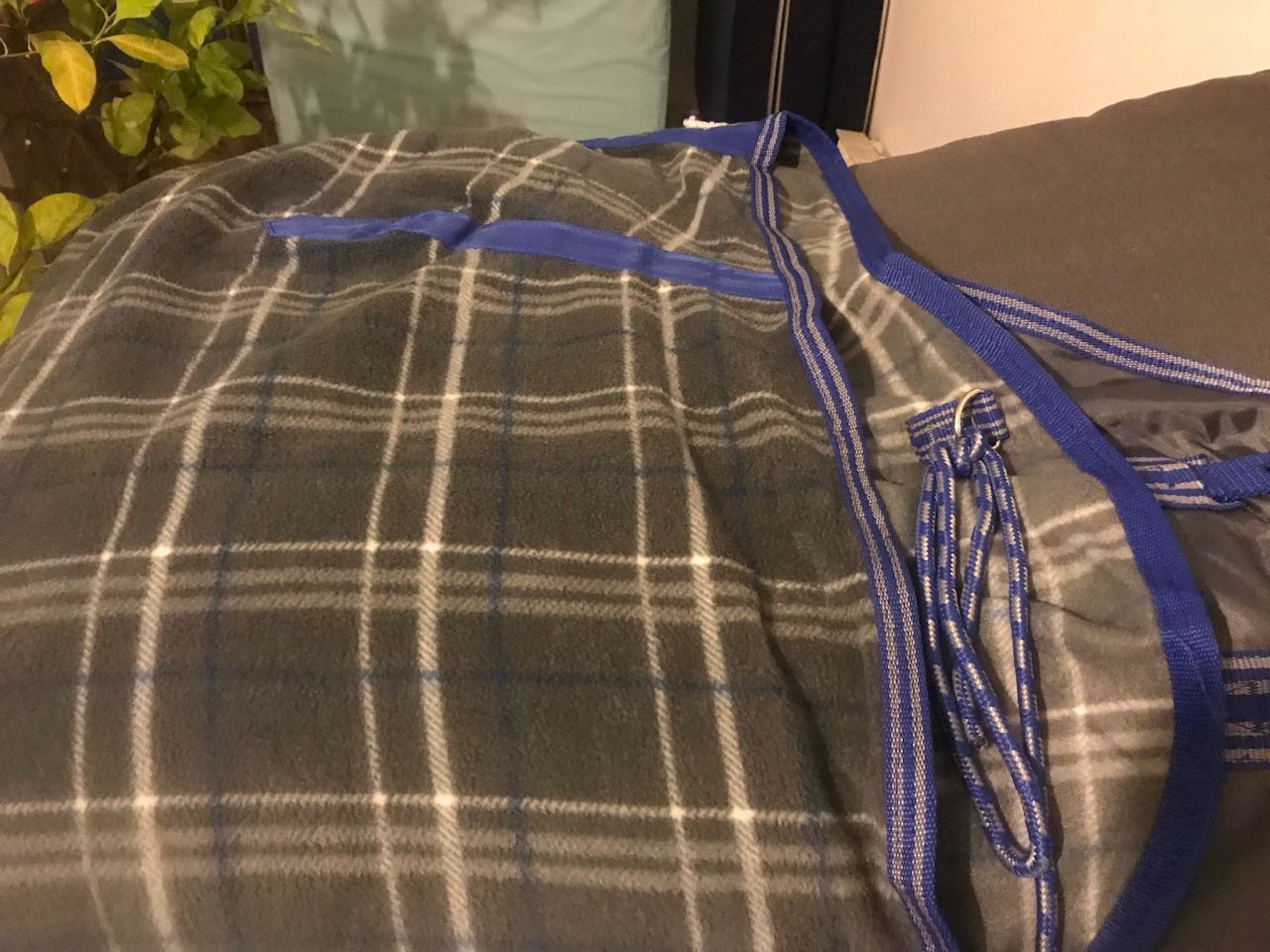 Couverture Séchante Nevada Pour Cheval - Polaire 240g/m², Rembourrage Garrot, Sangles Croisées - Gris Foncé 135cm