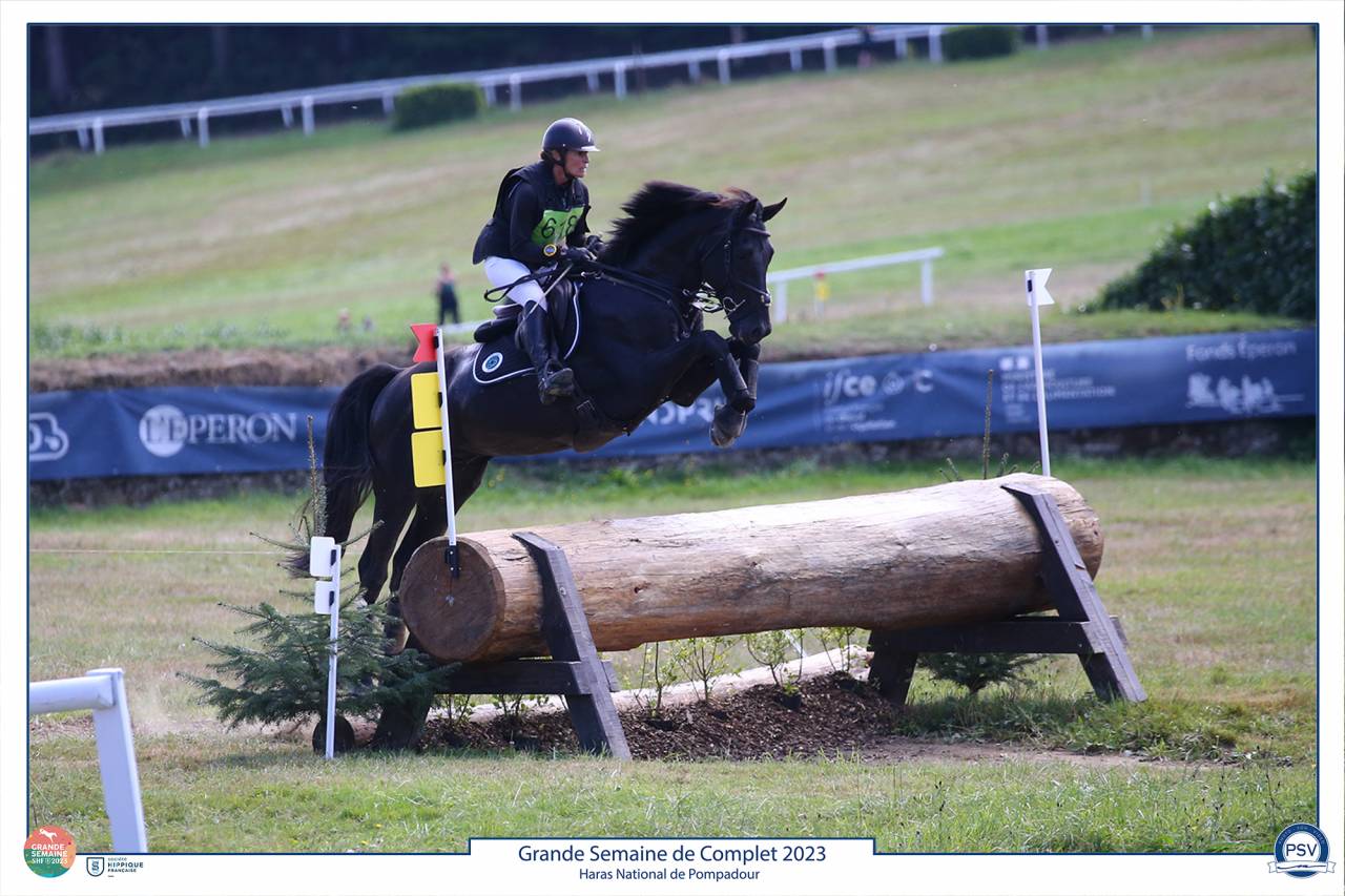 Magnifique Diamant noir SFO Champion de France 7 ans ! 