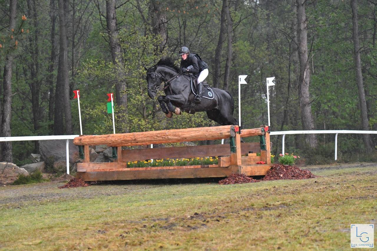 Magnifique Diamant noir SFO Champion de France 7 ans ! 