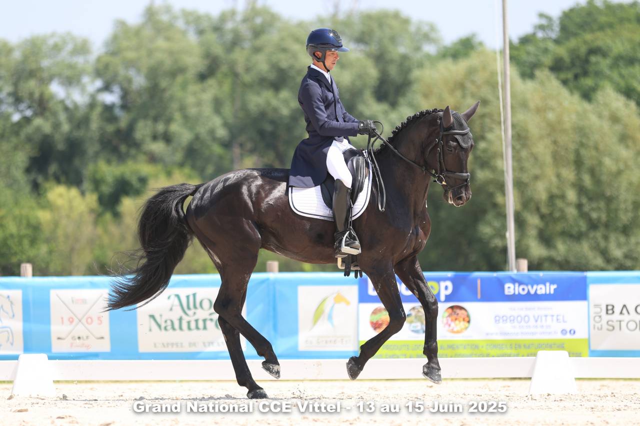 Magnifique Diamant noir SFO, 100 % de podiums en 2025 !