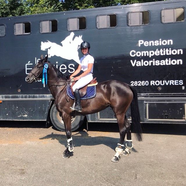 Belle pension professionnelle et sérieuse