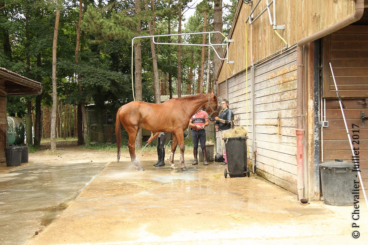 Belle pension professionnelle et sérieuse