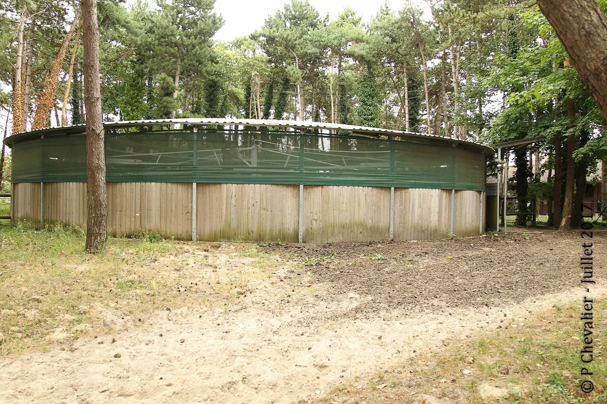 Belle pension professionnelle et sérieuse