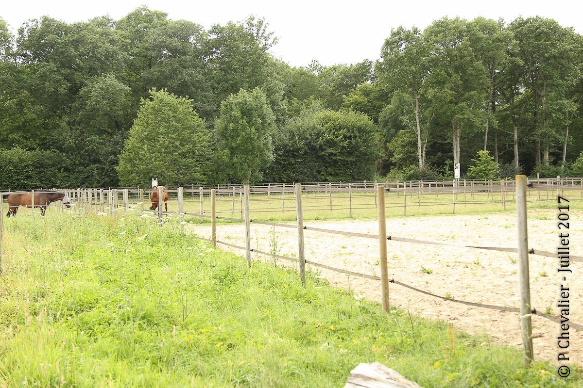 Belle pension professionnelle et sérieuse