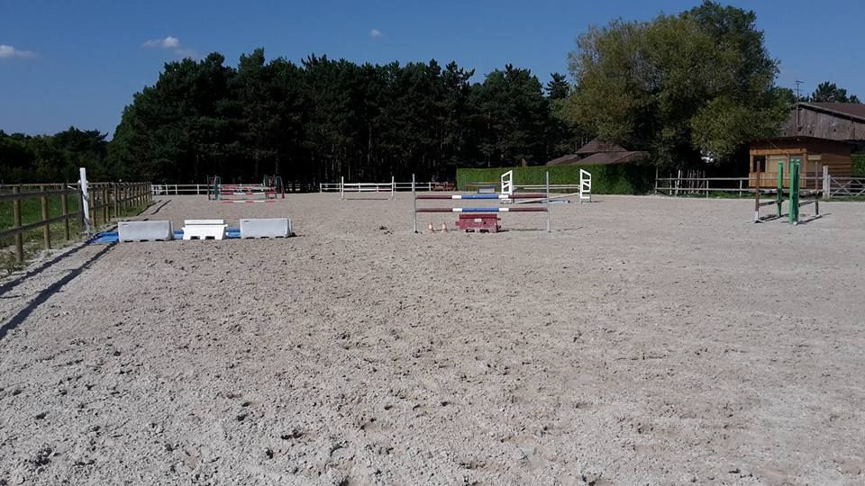 Belle pension professionnelle et sérieuse