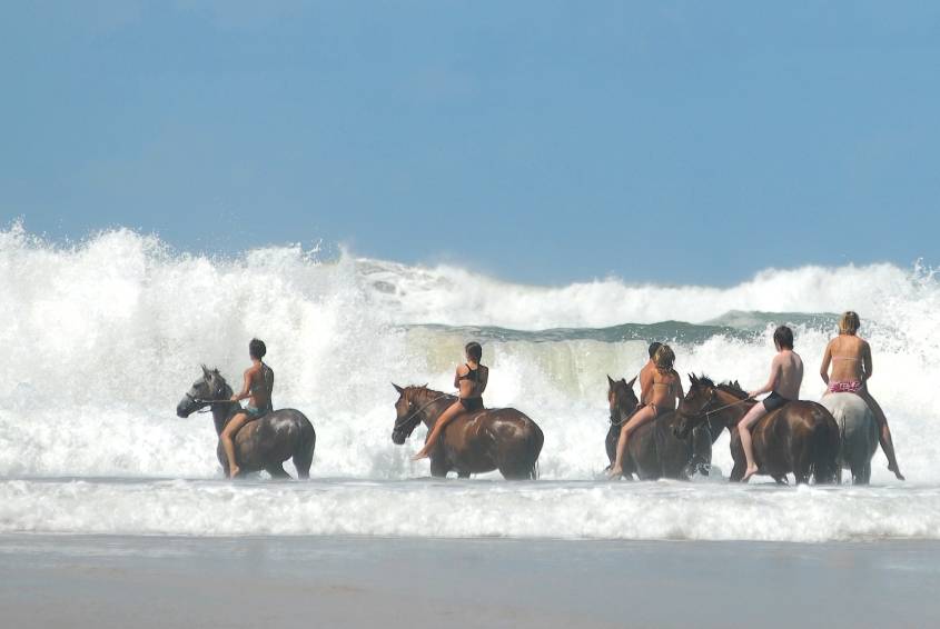 Séjour individuel, Famille à la carte  Equitation  Yoga