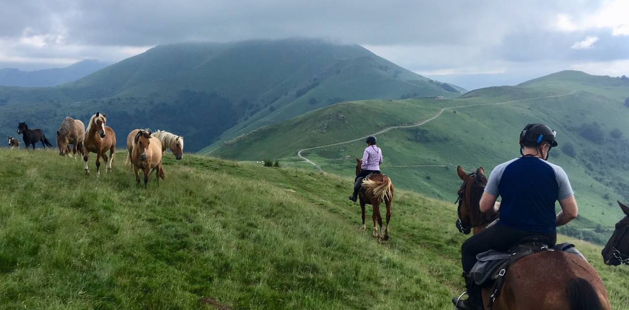 Séjour individuel, Famille à la carte  Equitation  Yoga