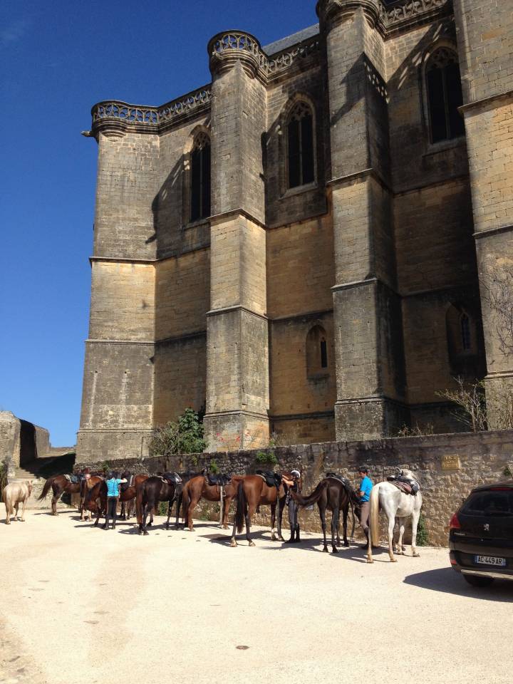 Séjour individuel, Famille à la carte  Equitation  Yoga