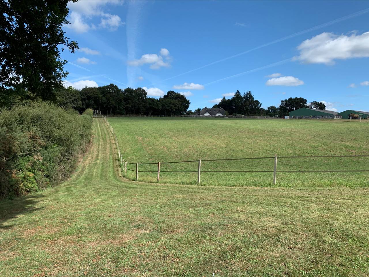 Ecurie de propriétaire - Pension chevaux - Elevage