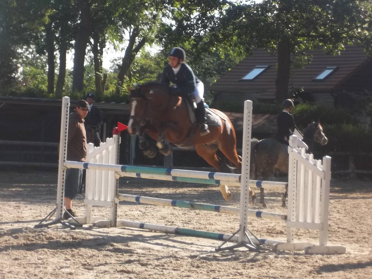 song de bel air , etalon new forest