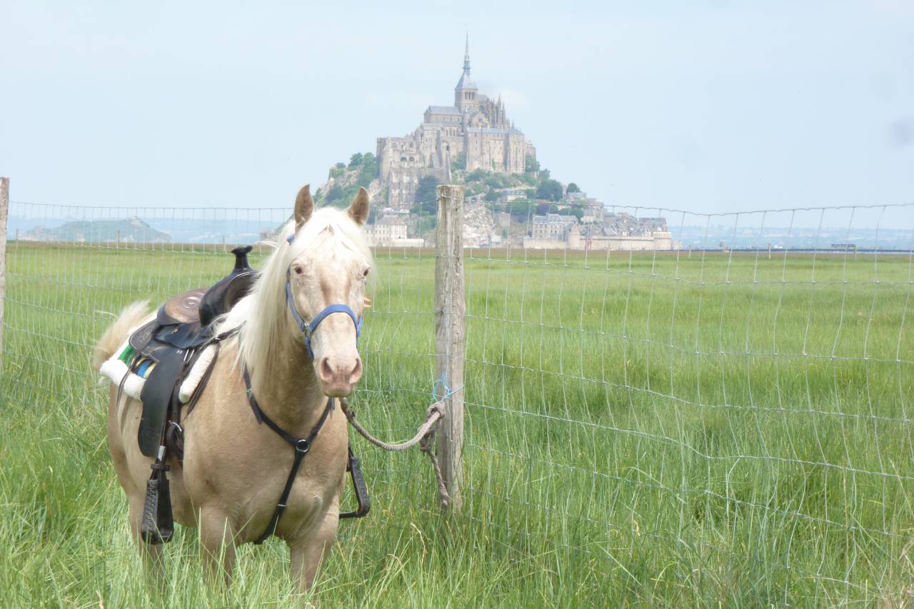 Gite de groupe/équestre baie du Mont St Michel 14 pls 