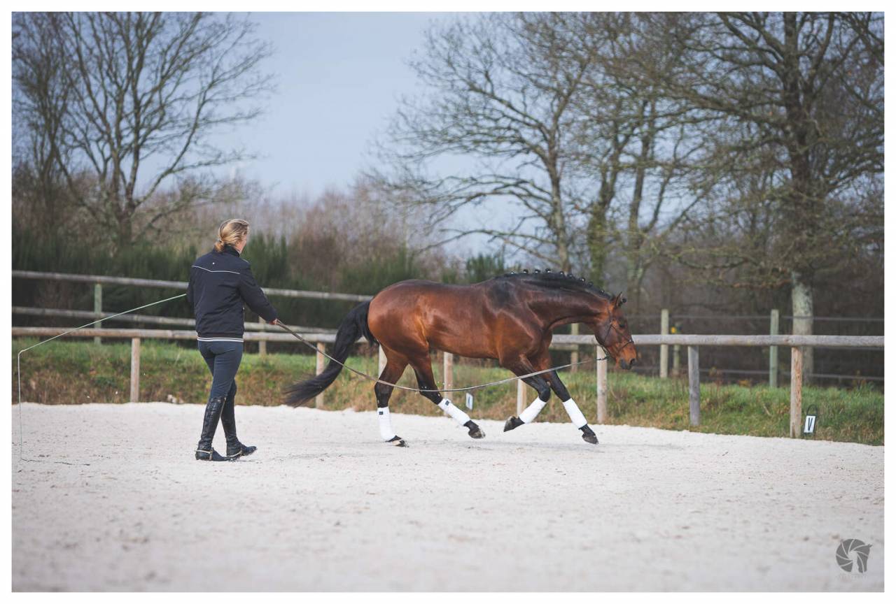 Saillies de Coraçao La Goudelie