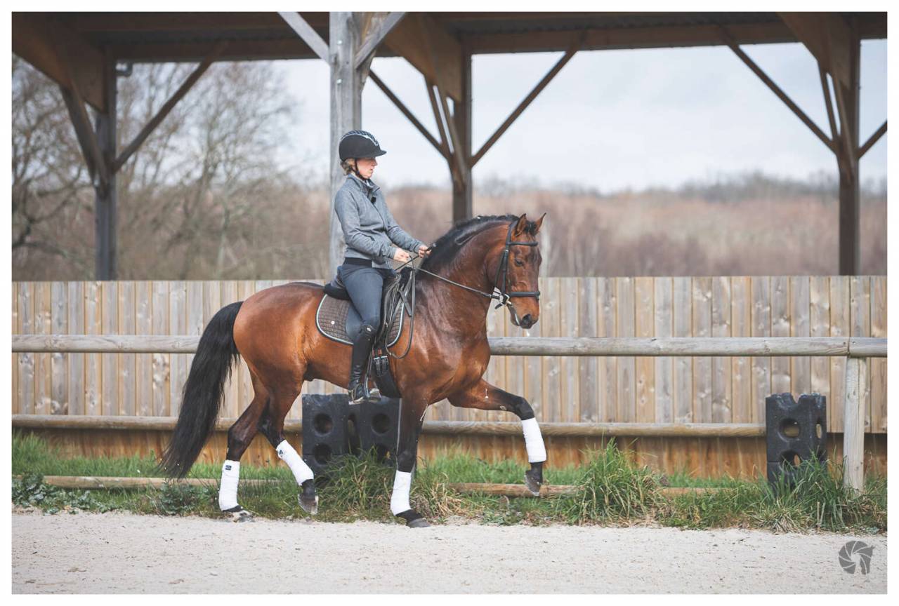 Saillies de Coraçao La Goudelie