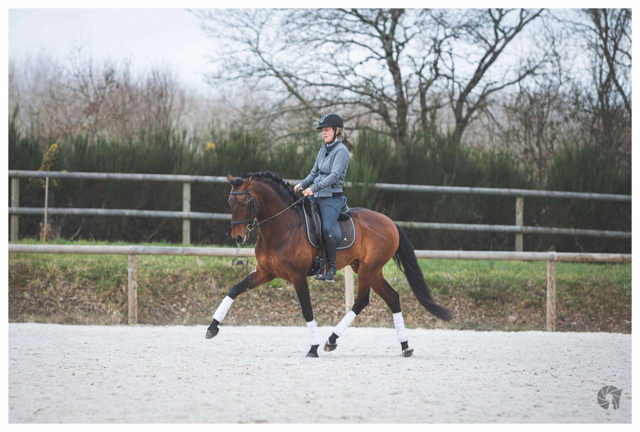 Saillies de Coraçao La Goudelie