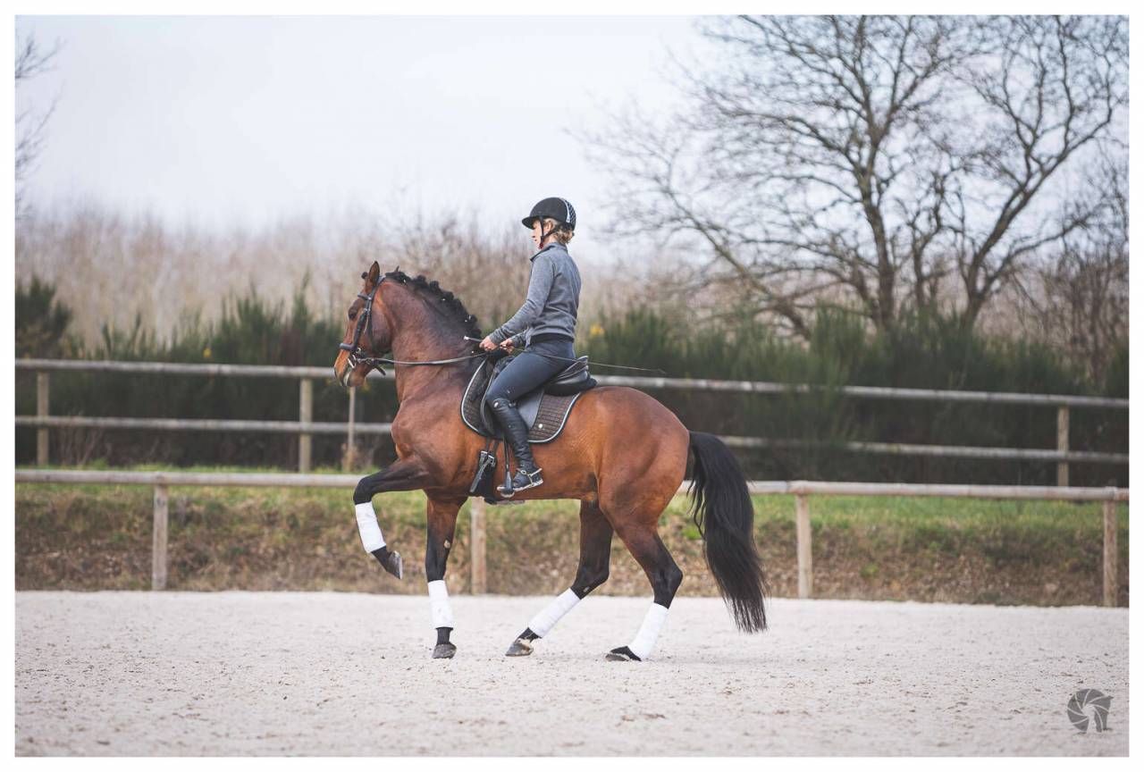 Saillies de Coraçao La Goudelie