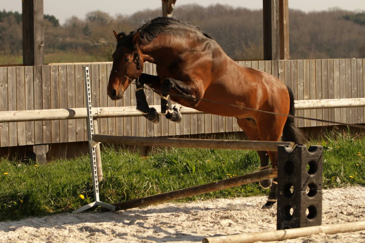 Saillies de Coraçao La Goudelie
