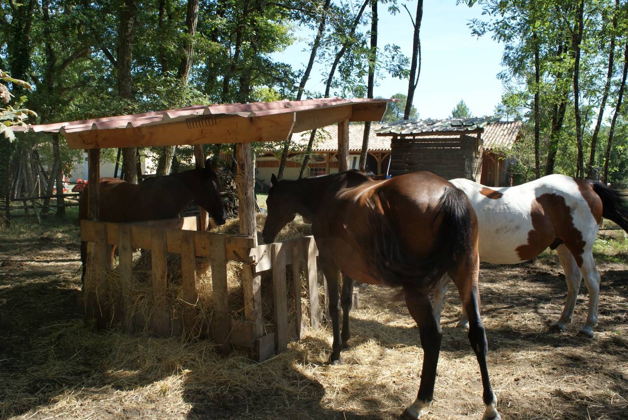 Sud Gironde Pension au pr&egrave;s