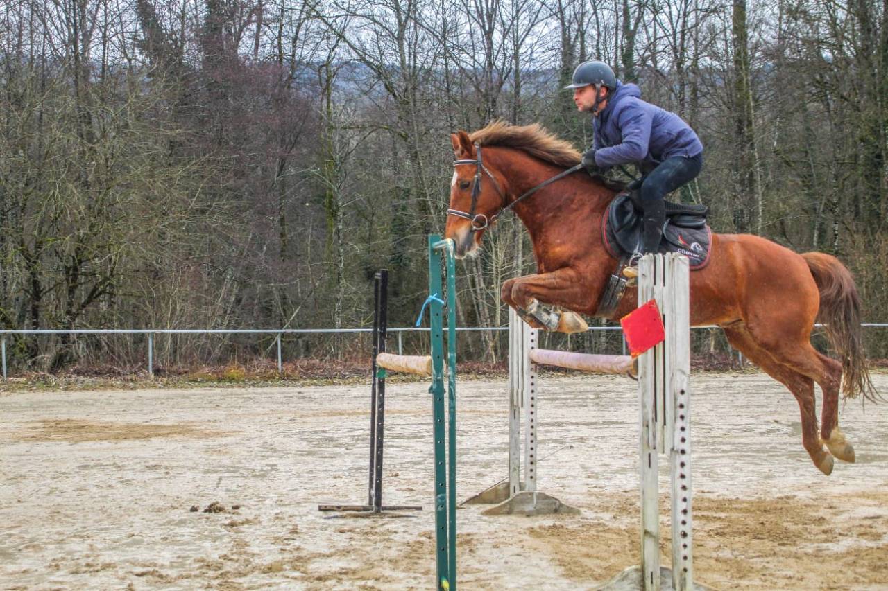 Poney 11 ans 1m48 à louer ou à vendre