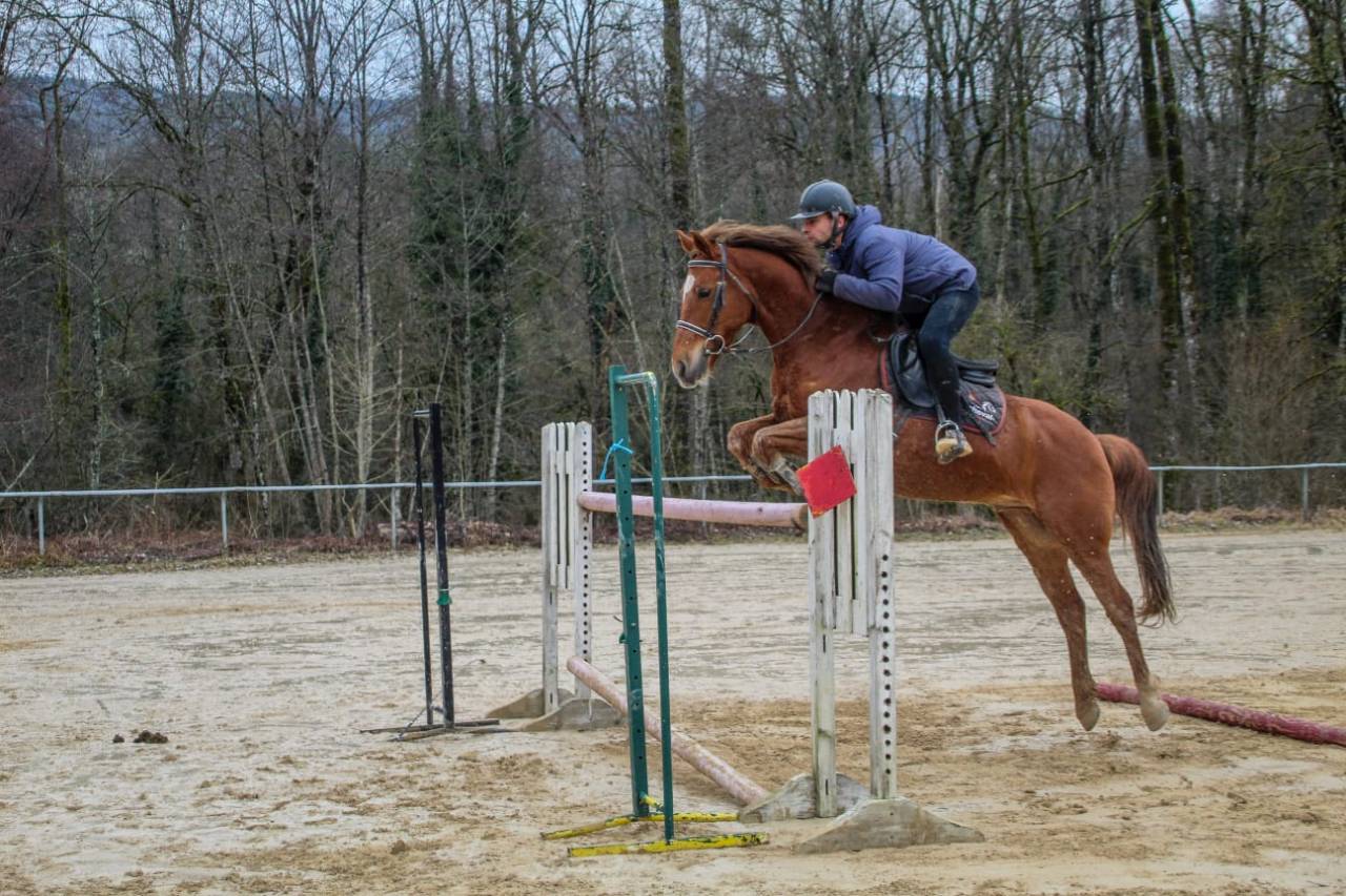 Poney 11 ans 1m48 à louer ou à vendre