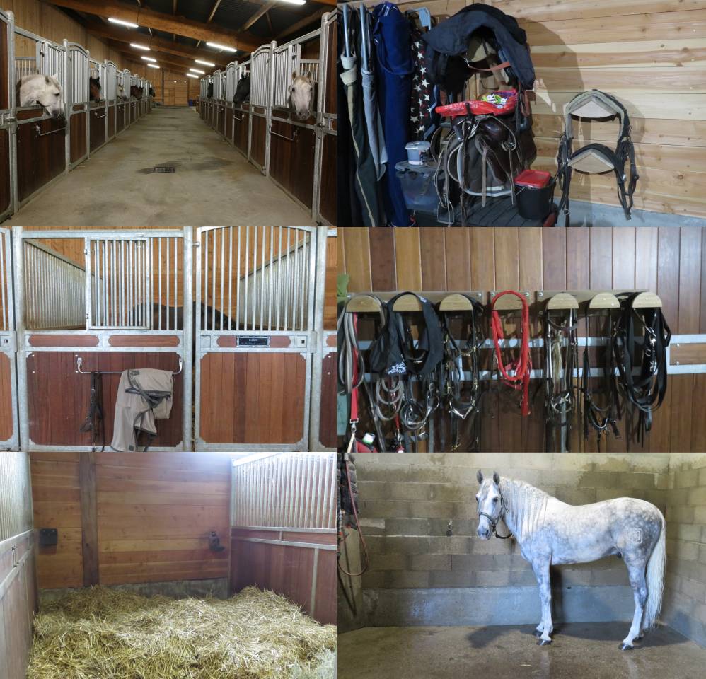 Pension au domaine de l'Hippogriffe (03340)