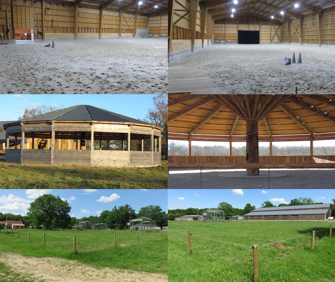 Pension au domaine de l'Hippogriffe (03340)