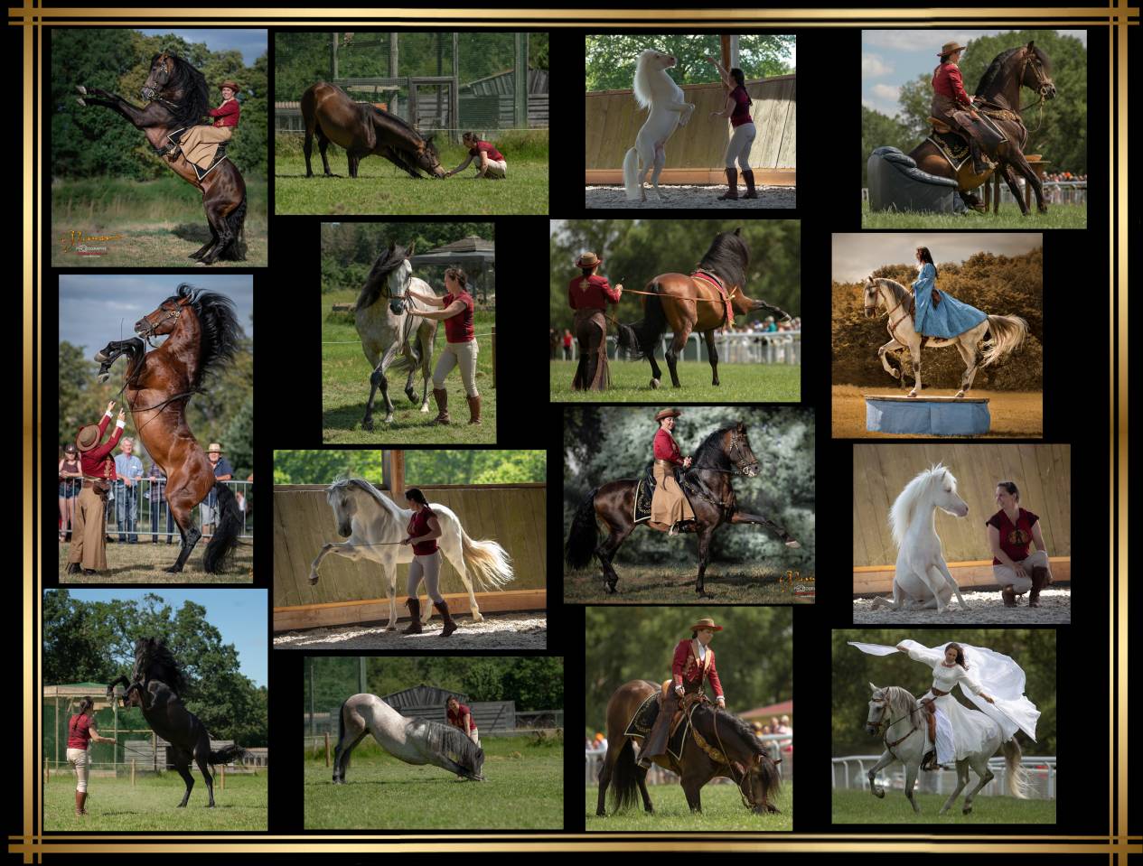 Pension au domaine de l'Hippogriffe (03340)