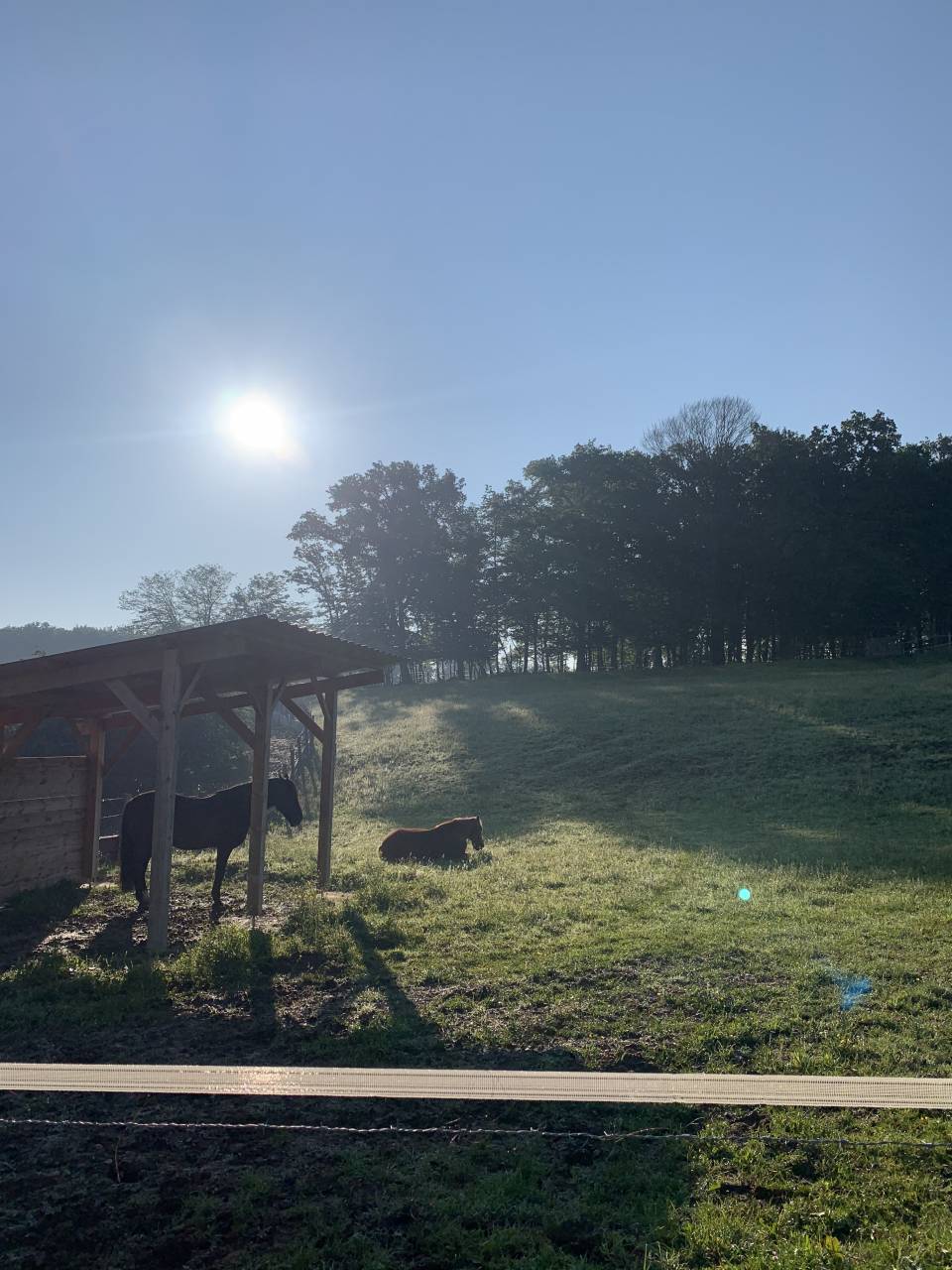 PENSION CHEVAUX - Ecurie de la libert&eacute; (25)