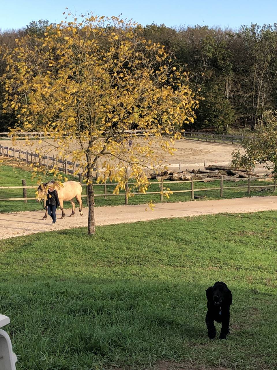 PENSION CHEVAUX - Ecurie de la libert&eacute; (25)