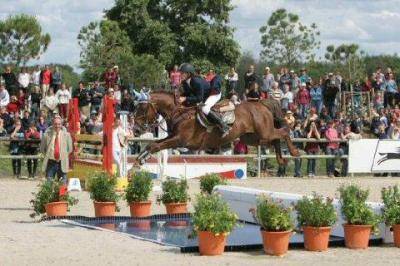 SAILLIE D'UN ETALON, PERFORMER INTERNATIONAL 