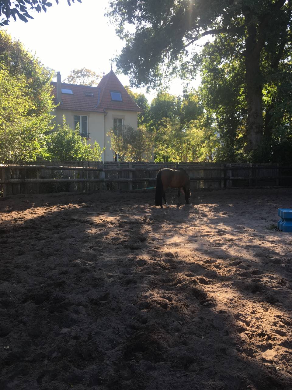 Pension pour chevaux proche Paris 