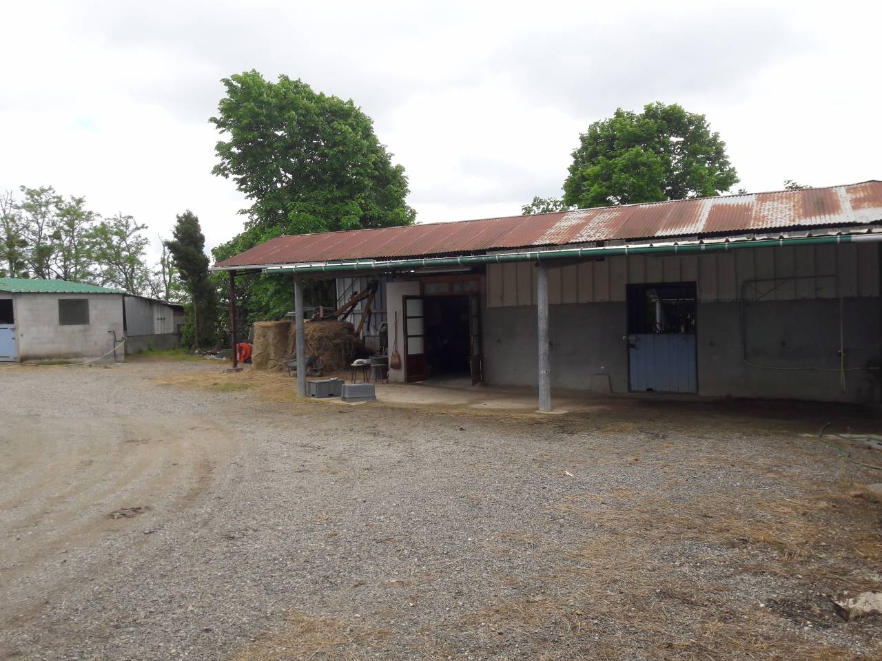 Pension chevaux et poneys pr&eacute;
