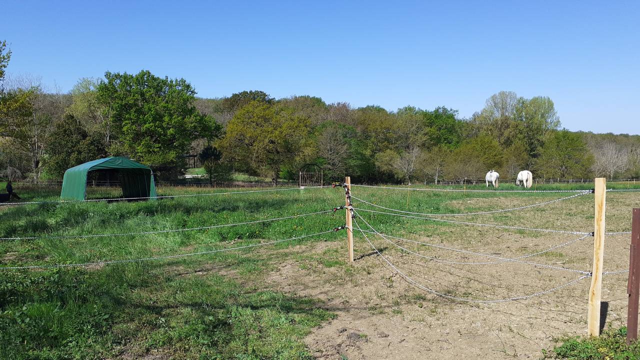 Pension chevaux et poneys pr&eacute;