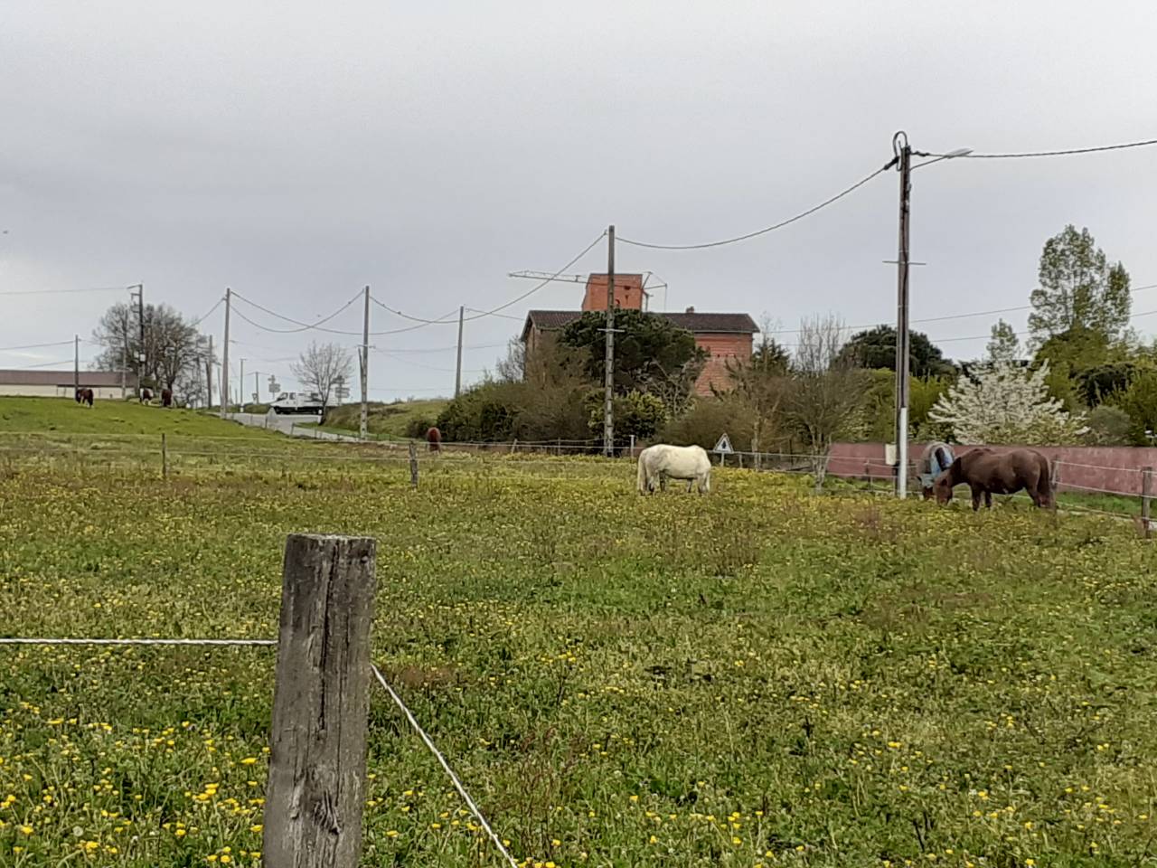 Pension chevaux et poneys pr&eacute;