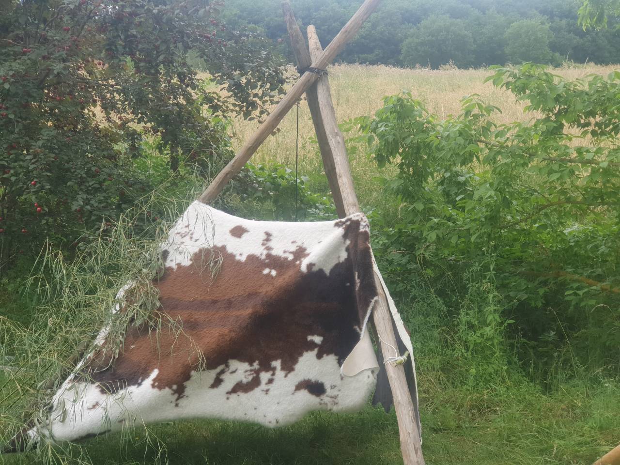 h&eacute;bergement dans un tipi avec votre cheval