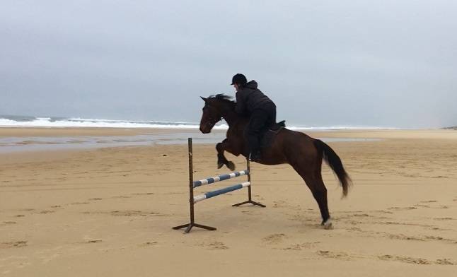 Stage DERBY adult perfectionnement CSO et CROSS