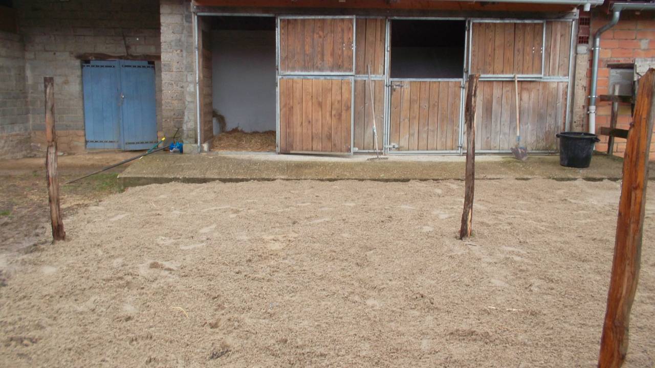 pension chevaux pr&eacute;dominance retraite