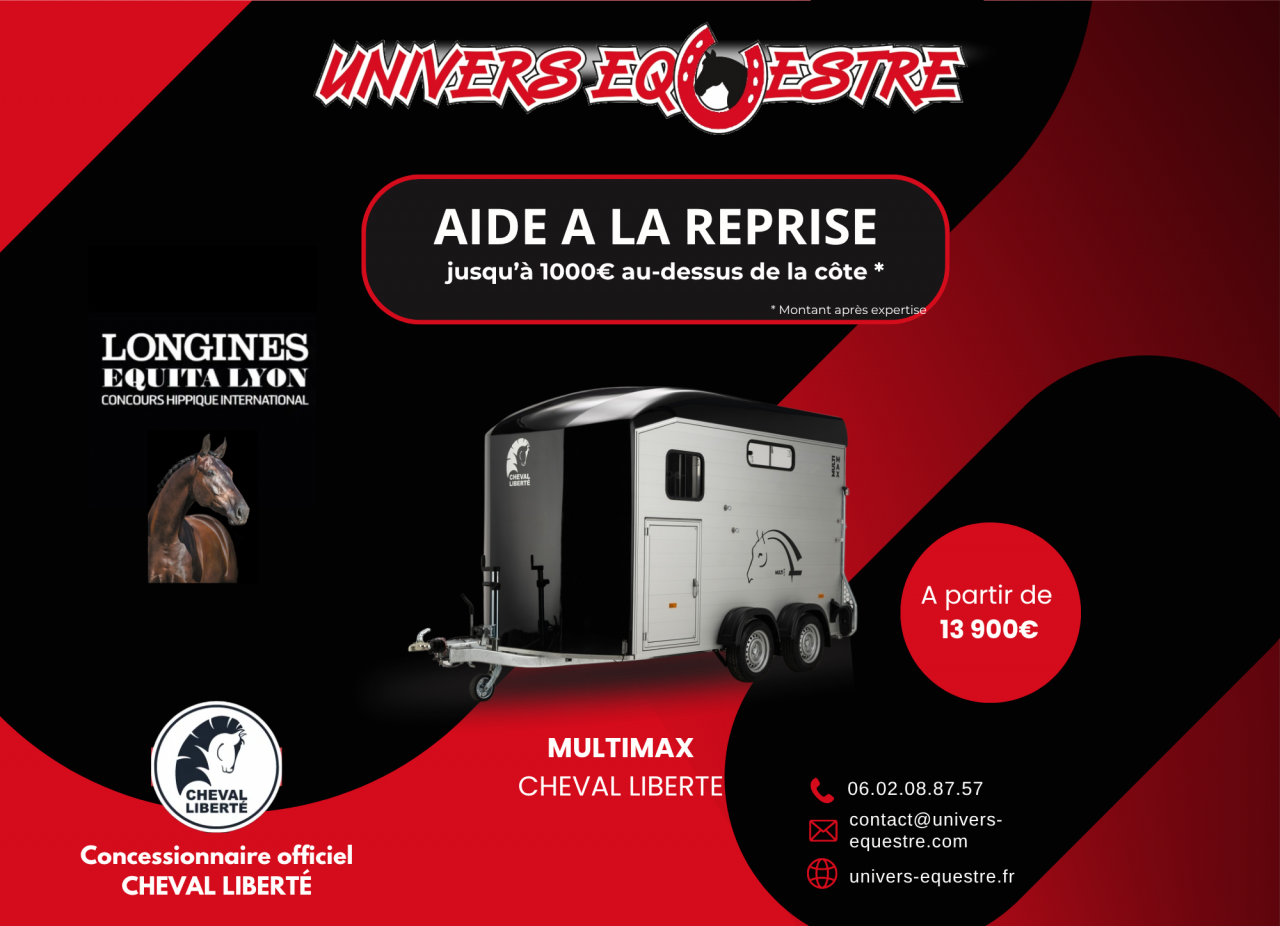 VAN MULTIMAX CHEVAL LIBERTE 2 PLACES
