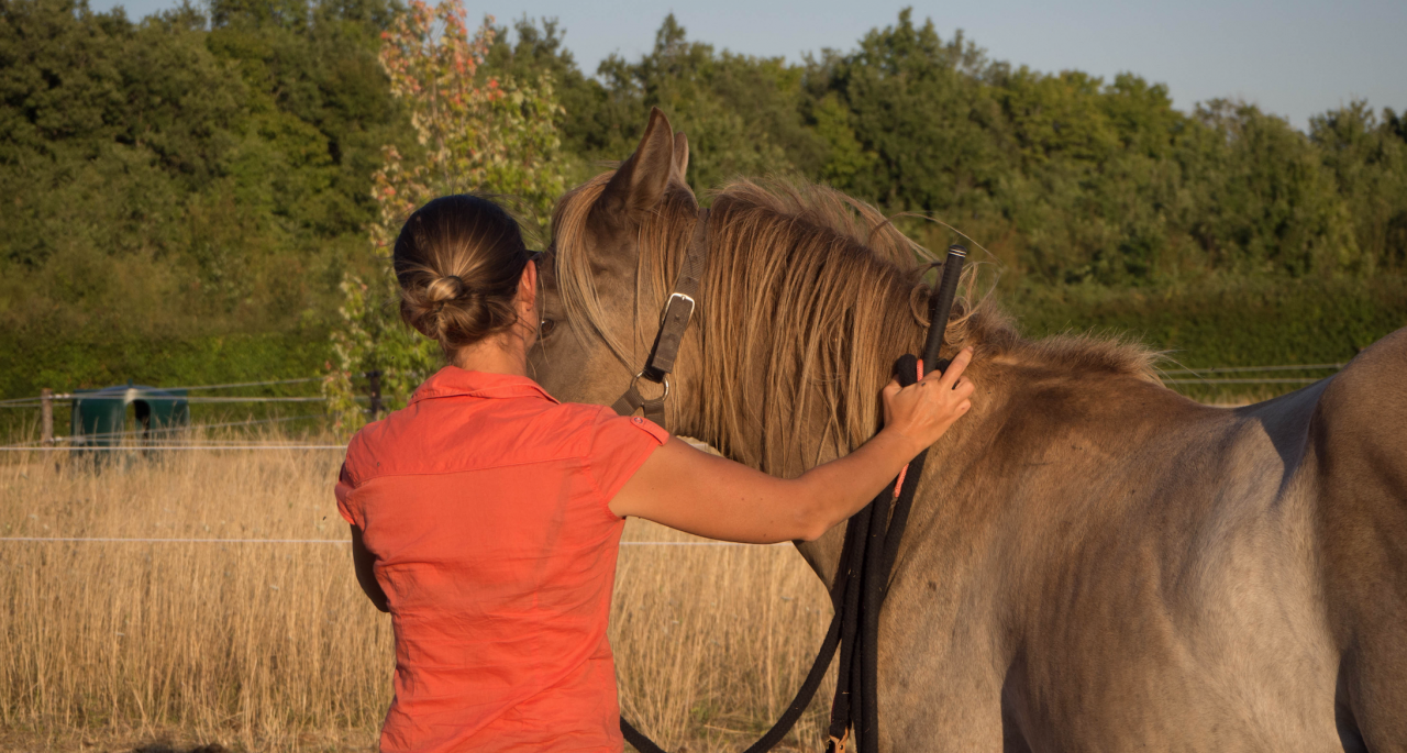 Monitrice spécialisée éthologie Nouvelle Aquitaine