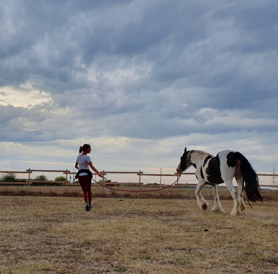 Monitrice spécialisée éthologie Nouvelle Aquitaine