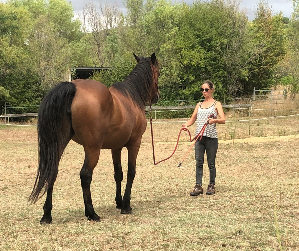 Monitrice spécialisée éthologie Nouvelle Aquitaine