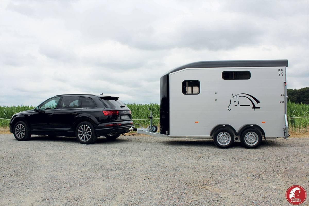VAN CHEVAL LIBERTE NEUF - MULTIMAX - STALLE GRANDE SELLERIE AMOVIBLE - 2 PLACES