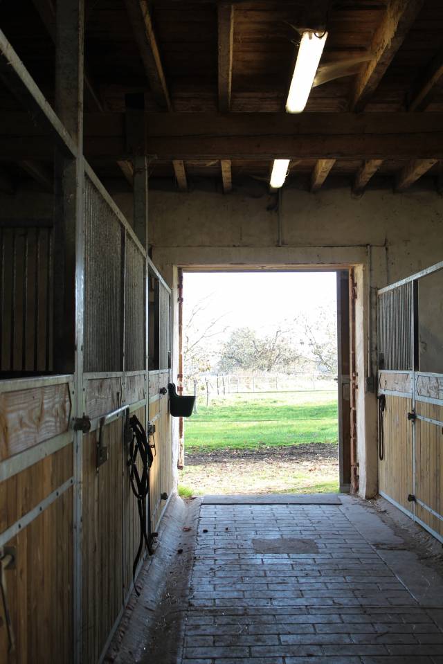 Location de boxes/ Pension