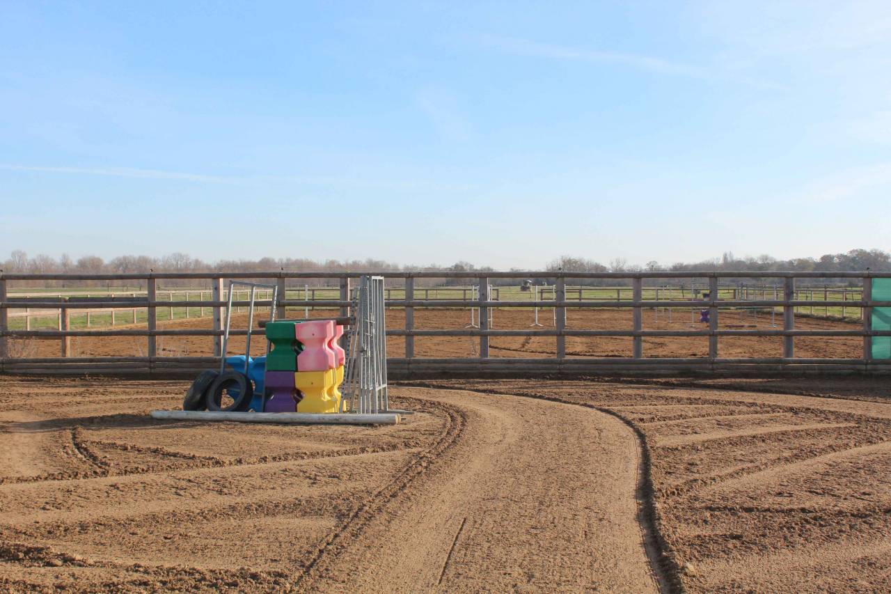 Location de boxes/ Pension