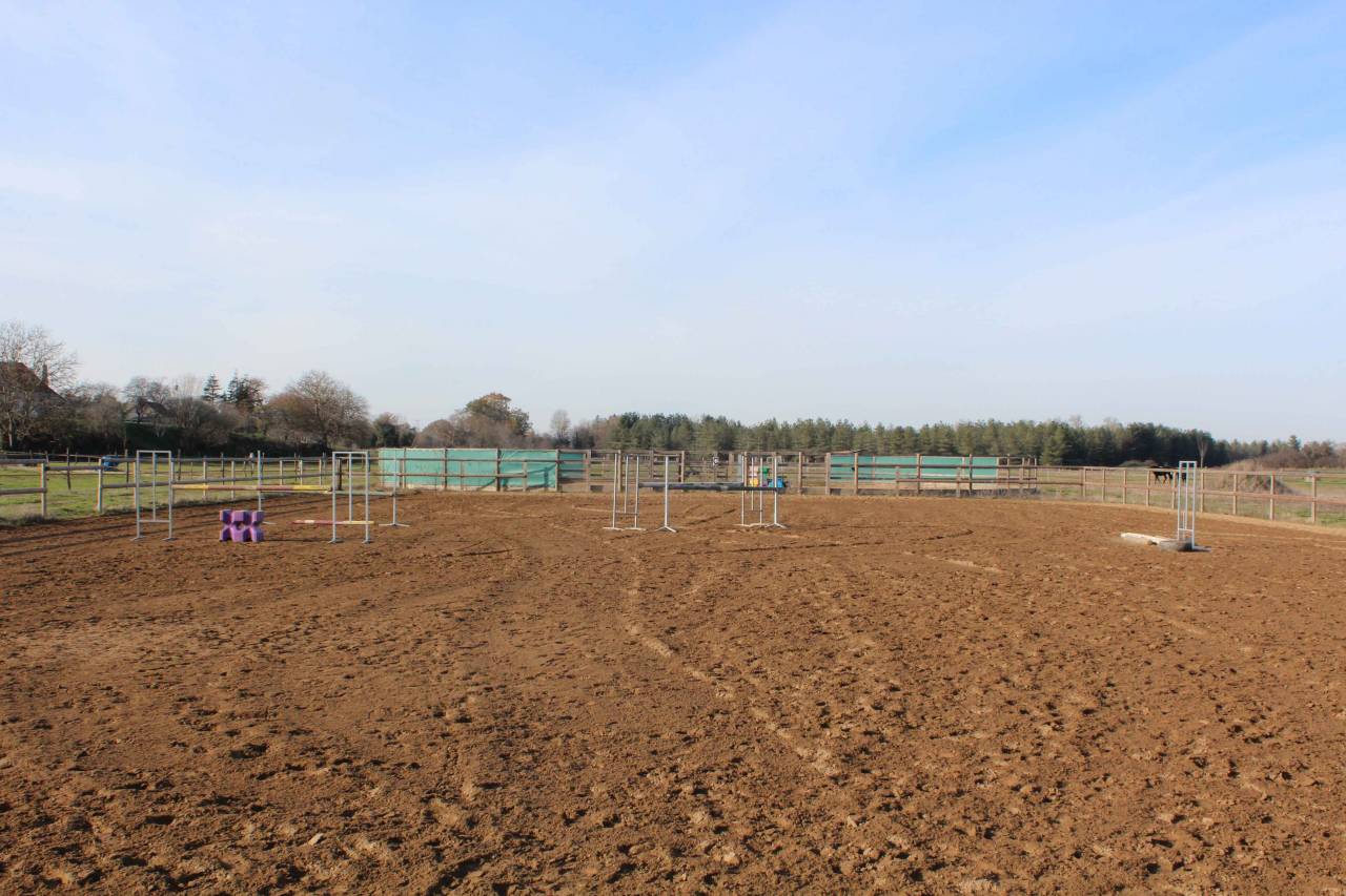 Location de boxes/ Pension