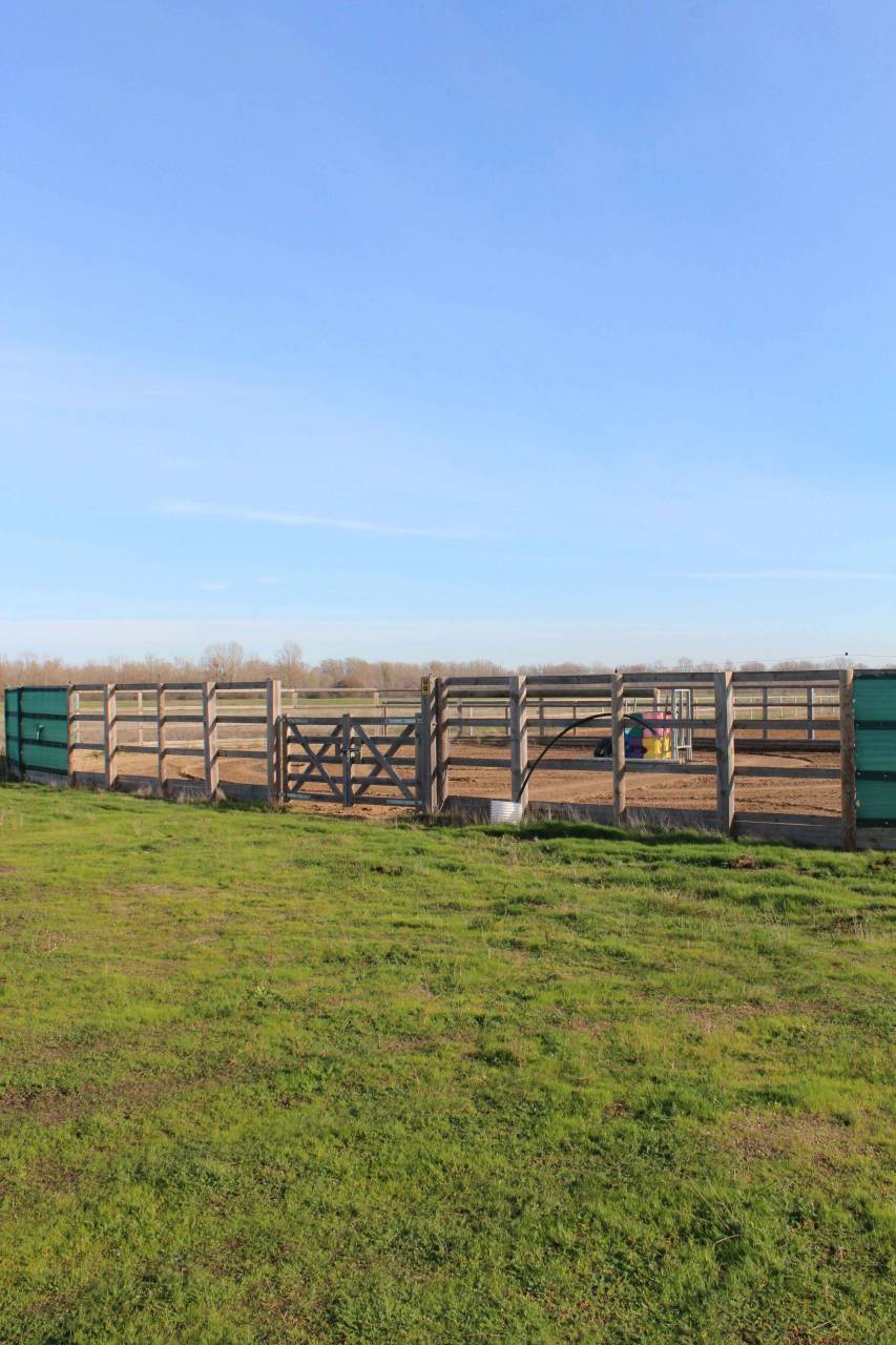 Location de boxes/ Pension