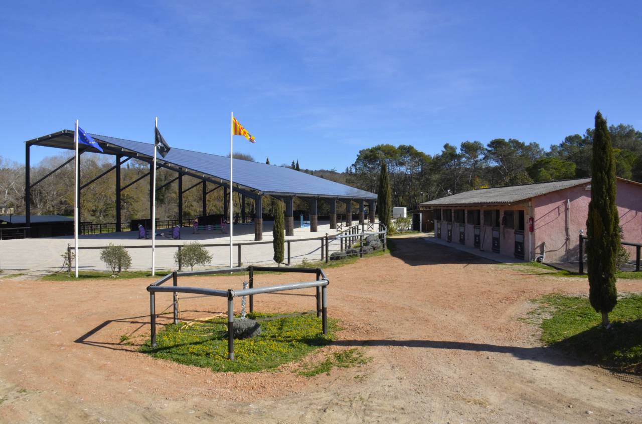 Haras La Colombiere - Pension - Elevage Pur-Sang Arabes