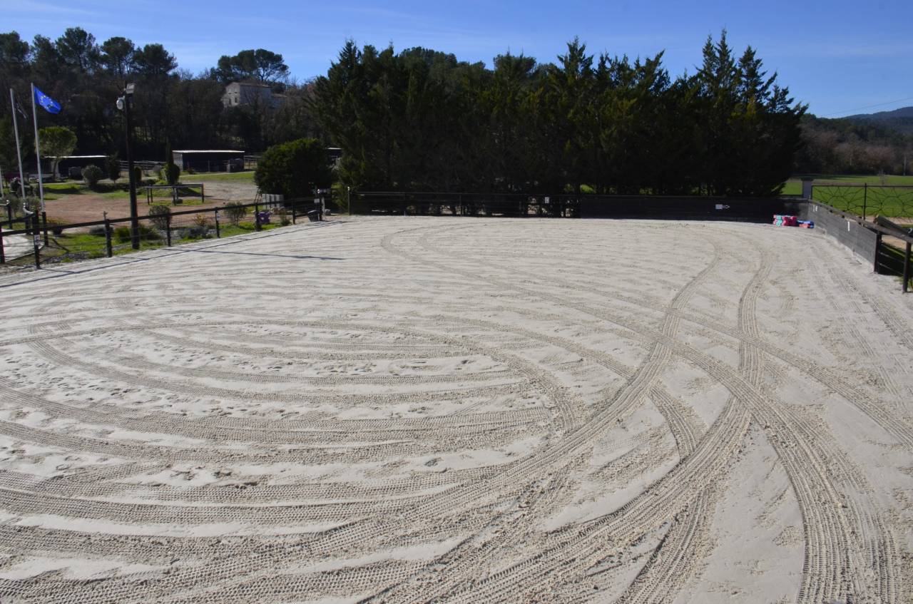 Haras La Colombiere - Pension - Elevage Pur-Sang Arabes